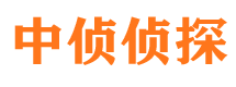 岳阳楼外遇调查取证